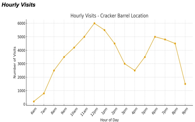 Hourly Visits, Visitation Data, Walterboro, SC